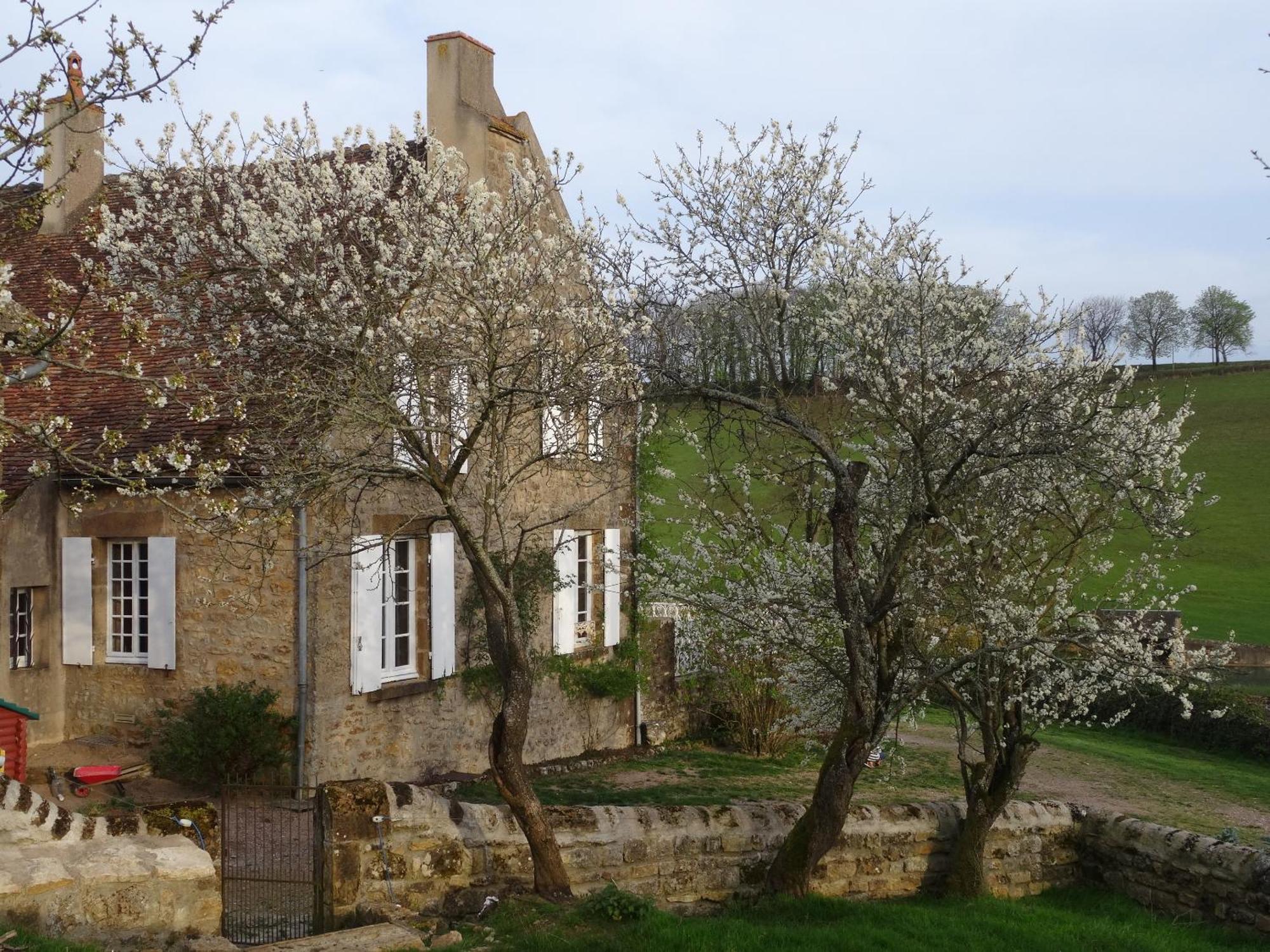 Domaine De Dremont Panzió Anthien Kültér fotó