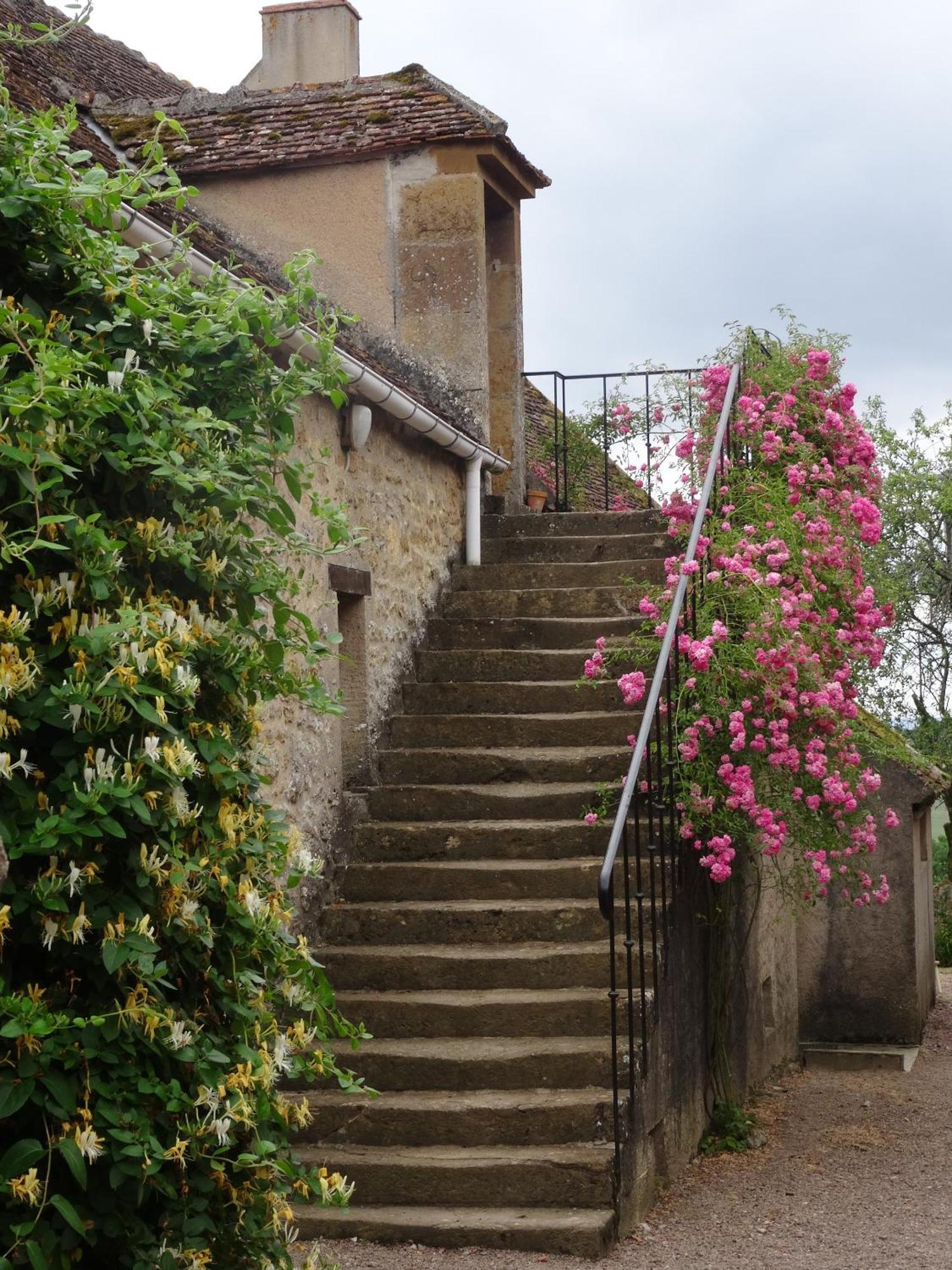 Domaine De Dremont Panzió Anthien Kültér fotó