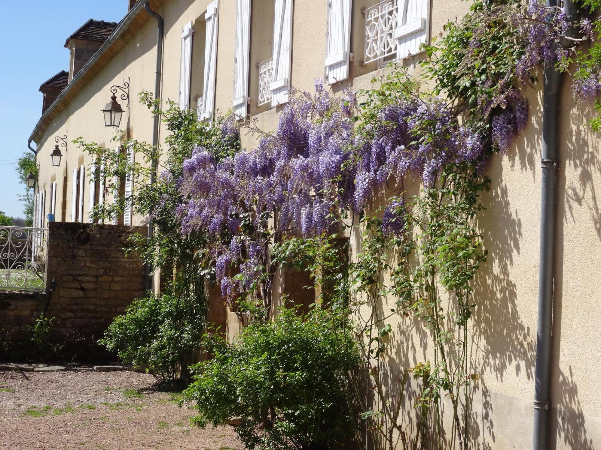 Domaine De Dremont Panzió Anthien Kültér fotó