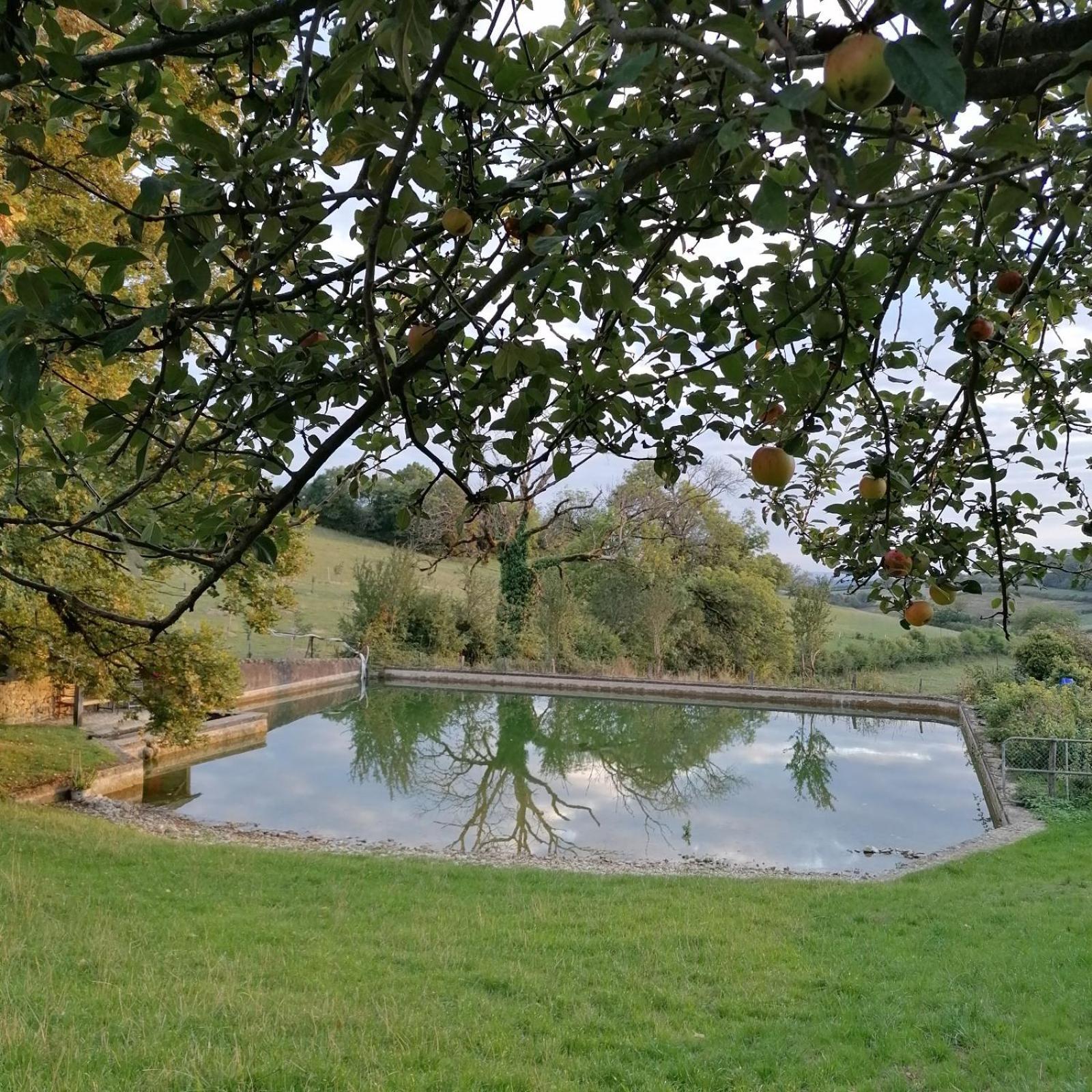 Domaine De Dremont Panzió Anthien Kültér fotó